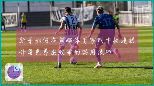 新手如何在熊猫体育官网中快速提升角色养成效率的实用技巧