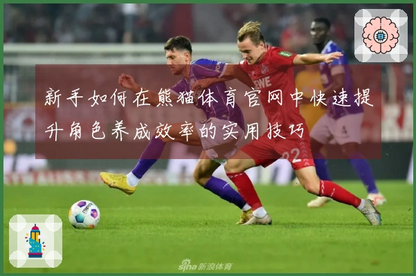 新手如何在熊猫体育官网中快速提升角色养成效率的实用技巧