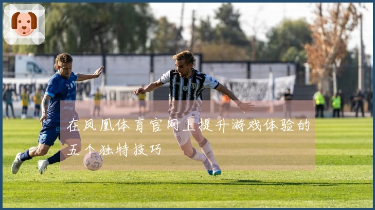 在凤凰体育官网上提升游戏体验的五个独特技巧