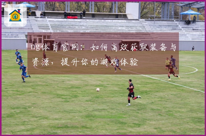 ng体育官网：如何高效获取装备与资源，提升你的游戏体验