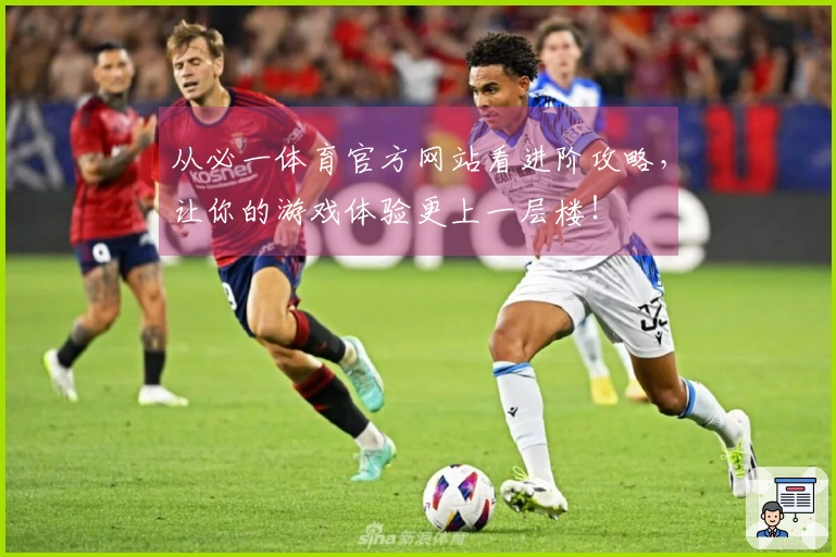 从必一体育官方网站看进阶攻略，让你的游戏体验更上一层楼！