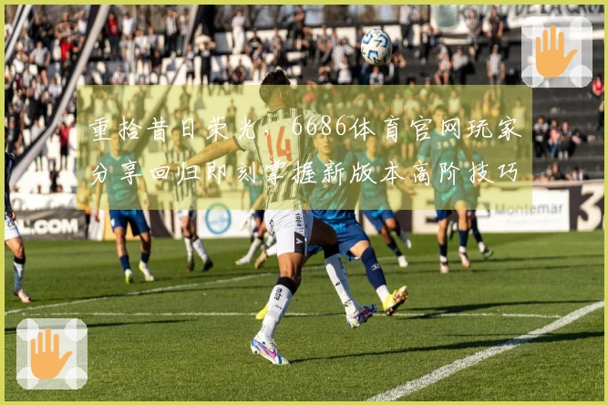 重拾昔日荣光，6686体育官网玩家分享回归即刻掌握新版本高阶技巧心得