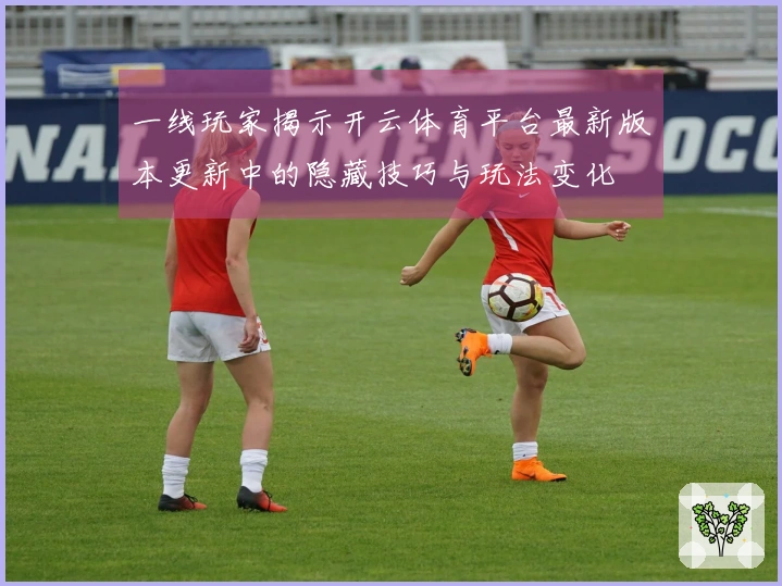 一线玩家揭示开云体育平台最新版本更新中的隐藏技巧与玩法变化