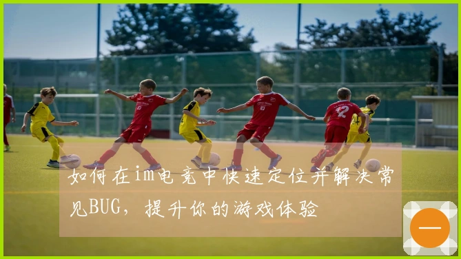 如何在im电竞中快速定位并解决常见BUG，提升你的游戏体验