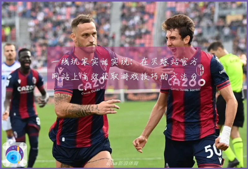 一线玩家实话实说：在买球站官方网站上高效获取游戏技巧的方法分享