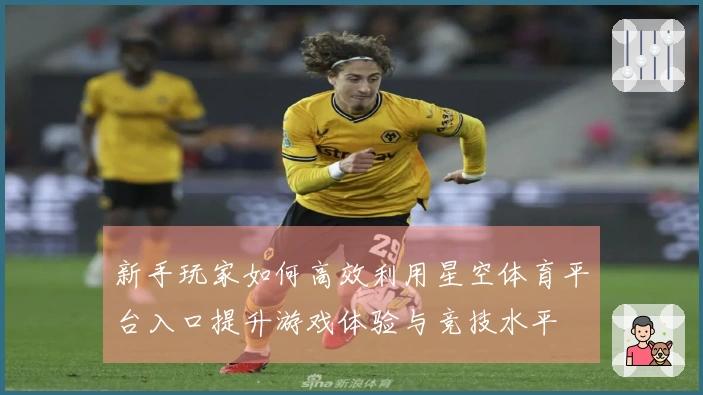 新手玩家如何高效利用星空体育平台入口提升游戏体验与竞技水平